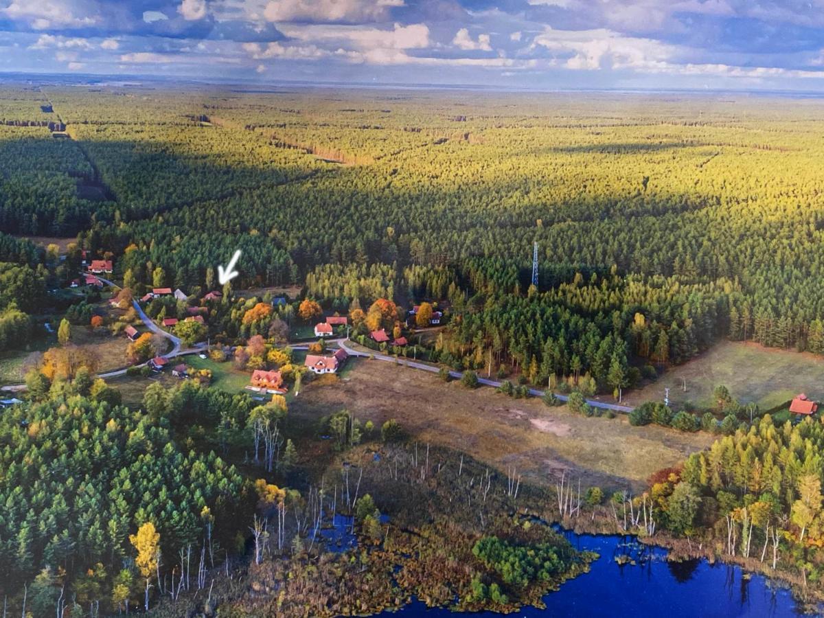 Szeroki Bor Oaza W Puszczy Z Sauna, Bania I Jacuzzi Экстерьер фото